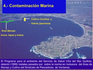 4.- Contaminación Marina El Programa para el ambiente del Servicio de Salud Viña del Mar Quillota, detectó (1999) metales pesados por  sobre la norma en moluscos  del Área de Manejo y Cultivo del Sindicato de Pescadores  de Ventanas.   Área Manejo  locos, lapas y erizos Cultivo Choritos  y  Ostras japonesas 