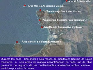Área M. S. Maitencillo Área Manejo Sindicato  Horcón Área Manejo Sindicato  Las Ventanas Área Manejo  Sindicato El Manzano Área Manejo Cooperativa Ventanas Área Manejo Asociación Gremial Durante los años  1999-2000 ( seis meses de monitoreo) Servicio de Salud monitorea  a  seis áreas de manejo encontrándose en cada una de ellas presencia de algunos de los contaminantes analizados (cobre, cadmio,  arsénico) por sobre la norma.   