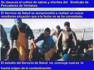 Se clausura el cultivo de ostras y choritos del  Sindicato de Pescadores de Ventanas. El Servicio de Salud se comprometió a realizar un nuevo monitoreo situación que a la fecha no se ha concretado. El estudio del Servicio de Salud  no  concluye cual es  la  fuente origen de la contaminación. 