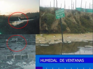 HUMEDAL  DE VENTANAS 