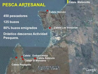 PESCA ARTESANAL   Caleta  Maitencillo Caleta  Embarcadero Caleta Loncura Caleta Horcón Caleta Las Ventanas Caleta El Manzano Caleta Papagallo 450 pescadores 125 buzos 80% buzos emigrados Drástico descenso Actividad  Pesquera. 
