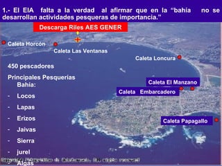 1.- El EIA  falta a la verdad   al afirmar que en la “bahía  no se desarrollan actividades pesqueras de importancia.” Caleta Horcón Caleta Las Ventanas Caleta Loncura Caleta Papagallo Caleta  Embarcadero Caleta El Manzano 450 pescadores  Principales Pesquerías Bahía: Locos  Lapas Erizos Jaivas Sierra jurel Algas Descarga Riles AES GENER 