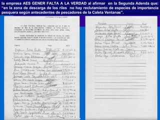 la empresa AES GENER FALTA A LA VERDAD al afirmar  en la Segunda Adenda que: “en la zona de descarga de los riles  no hay reclutamiento de especies de importancia pesquera según antecedentes de pescadores de la Caleta Ventanas”. 