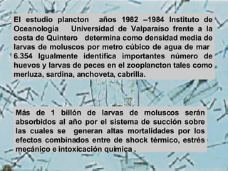 El estudio plancton  años 1982 –1984 Instituto de Oceanología  Universidad de Valparaíso frente a la costa de Quintero  determina como densidad media de larvas de moluscos por metro cúbico de agua de mar  6.354 Igualmente identifica importantes número de huevos y larvas de peces en el zooplancton tales como merluza, sardina, anchoveta, cabrilla.  Más de 1 billón de larvas de moluscos serán absorbidos al año por el sistema de succión sobre las cuales se  generan altas mortalidades por los efectos combinados entre  de shock térmico, estrés mecánico e intoxicación química  . 