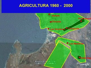 AGRICULTURA 1960 -  2000 Las Ventanas Chocota Horcón Puchuncaví Los Maitenes  Valle Alegre Campiche 