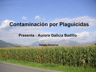 Contaminación por Plaguicidas Presenta : Aurora Galicia Badillo   Xalapa, Veracruz 