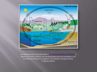 La contaminación está afectando a la composición de la atmósfera y
algunos de estos cambios son perjudiciales para los humanos y los
    ecosistemas.(Esquema original: U.S.Climate Change Science
                         Program Office)
 