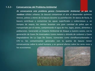 1.3.2- Consecuencias del Problema Ambiental
En consecuencia este problema genera Contaminación Ambiental; ya que los
residuos sólidos urbanos (la basura) contaminan el aire al desprender químicos
tóxicos, polvos y olores de la basura durante su putrefacción. En época de lluvia, la
basura contribuye a contaminar las aguas superficiales y subterráneas y, en
tiempos de sequía, los vientos levantan una gran cantidad de polvo que es
transportado por el viento, contaminando el agua de ríos, lagos, pozos, alimentos y
poblaciones. Generando un Impacto Ambiental de Ataque a nuestro ozono, con la
generación de Gases De Invernadero (como metano y dióxido de carbono) y Gases
Degradadores De La Capa De Ozono, (conocidos como clorofluorcarbonados o
CFC´s), los contaminantes generados con la quema de basura tienen
consecuencias sobre la salud humana, y en general efectos sobre los seres vivos y
los ecosistemas.
 