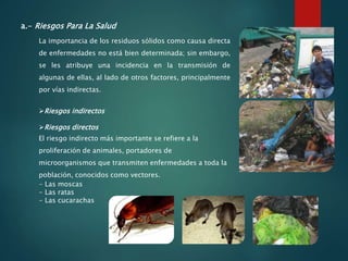 a.- Riesgos Para La Salud
La importancia de los residuos sólidos como causa directa
de enfermedades no está bien determinada; sin embargo,
se les atribuye una incidencia en la transmisión de
algunas de ellas, al lado de otros factores, principalmente
por vías indirectas.
Riesgos indirectos
Riesgos directos
El riesgo indirecto más importante se refiere a la
proliferación de animales, portadores de
microorganismos que transmiten enfermedades a toda la
población, conocidos como vectores.
- Las moscas
- Las ratas
- Las cucarachas
 