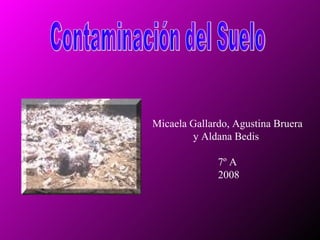 Contaminación del Suelo Micaela Gallardo, Agustina Bruera  y Aldana Bedis  7º A  2008 