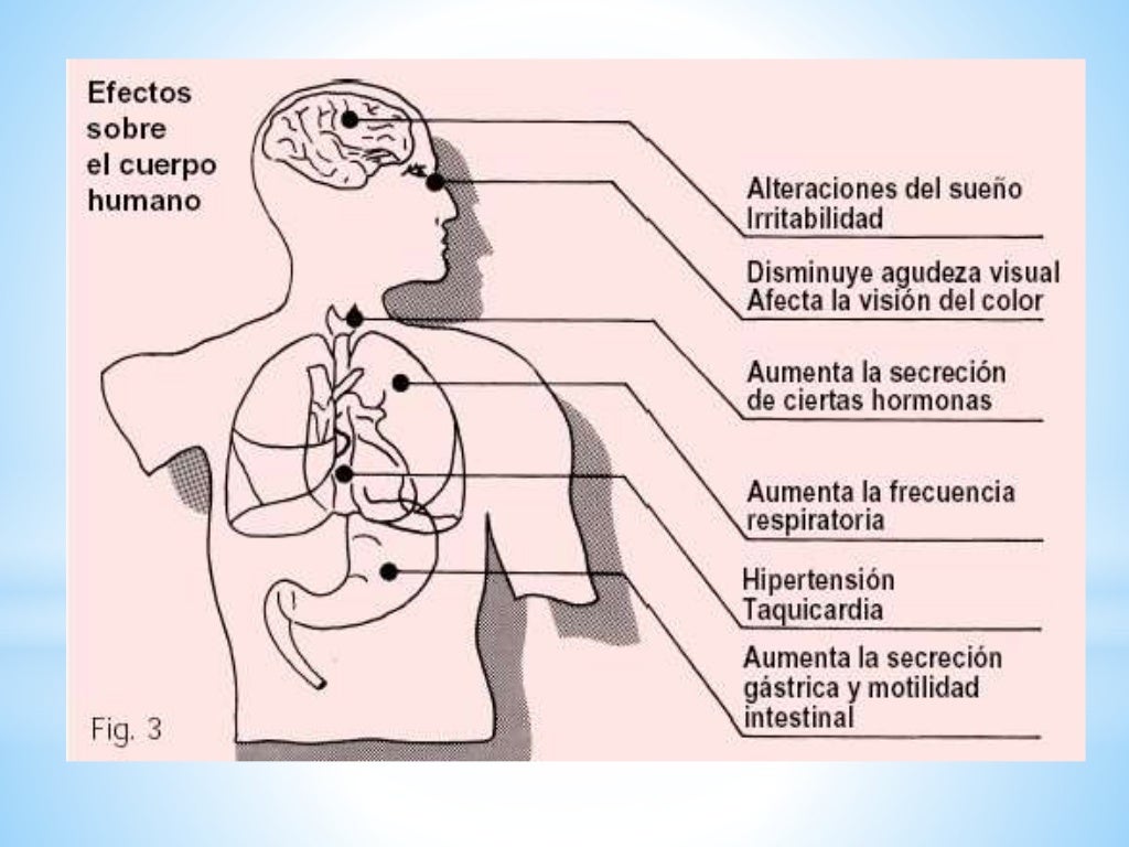 Causas y Consecuencias de la Contaminación acústica