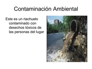Contaminación Ambiental ,[object Object]