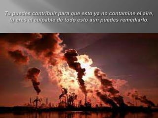Tu puedes contribuir para que esto ya no contamine el aire, tu eres el culpable de todo esto aun puedes remediarlo.