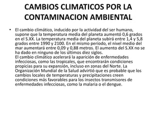 CAMBIOS CLIMATICOS POR LA
       CONTAMINACION AMBIENTAL
• El cambio climático, inducido por la actividad del ser humano,
  supone que la temperatura media del planeta aumentó 0,6 grados
  en el S.XX. La temperatura media del planeta subirá entre 1,4 y 5,8
  grados entre 1990 y 2100. En el mismo período, el nivel medio del
  mar aumentará entre 0,09 y 0,88 metros. El aumento del S.XX no se
  ha dado en ninguno de los últimos diez siglos.
  El cambio climático acelerará la aparición de enfermedades
  infecciosas, como las tropicales, que encontrarán condiciones
  propicias para su expansión, incluso en zonas del Norte. La
  Organización Mundial de la Salud advirtió que es probable que los
  cambios locales de temperaturas y precipitaciones creen
  condiciones más favorables para los insectos transmisores de
  enfermedades infecciosas, como la malaria o el dengue.
 