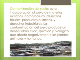 Contaminación del suelo: es la
incorporación al suelo de materias
extrañas, como basura, desechos
tóxicos, productos químicos, y
desechos industriales. La
contaminación del suelo produce un
desequilibrio físico, químico y biológico
que afecta negativamente las plantas,
animales y humanos.

 