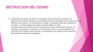 DESTRUCCION DEL OZONO
 El dióxido de carbono y el efecto invernadero están calentando el planeta. La
destrucción del ozono debido a las actividades humanas ha llegado ya al punto en que los
dañinos rayos solares, los ultravioletas B, llegan, en grandes zonas de la superficie
terrestre, a niveles capaces de causar extensos daños a la vida.
Las dosis cada vez mayores de UV-B amenazan la salud y el bienestar humano, las
cosechas, los bosques, las plantas, la vida salvaje y marina. Se ha producido una
elevación de la tasa de cáncer de piel. La exposición a la radiación UV-B reduce la
efectividad del sistema inmunológico.
 