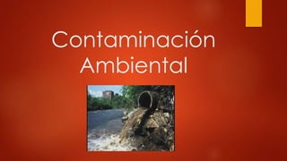 Contaminación
Ambiental
 