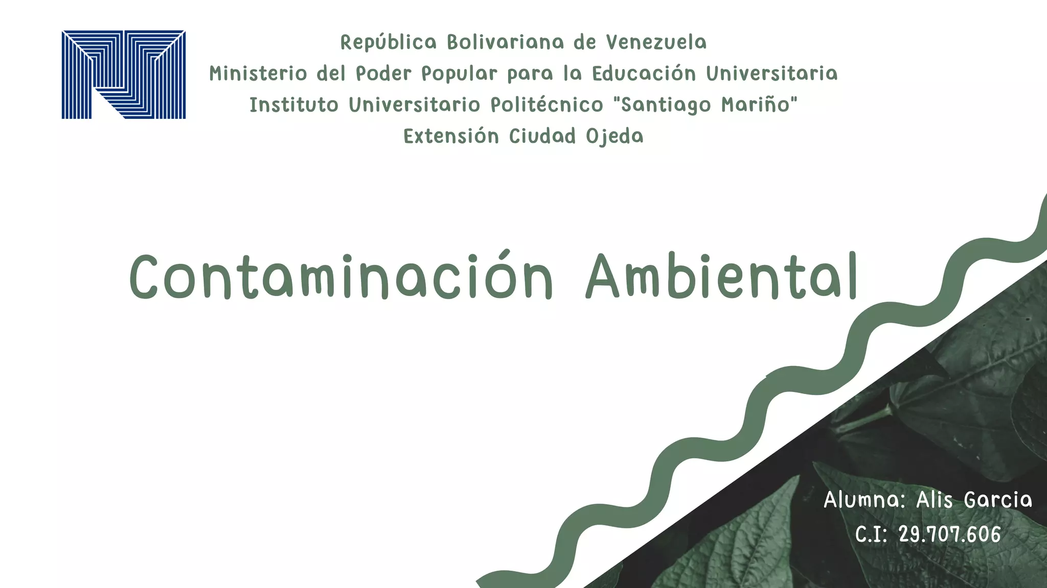 Contaminación ambiental.pdf
