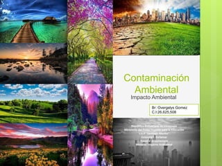 Contaminación
Ambiental
Impacto Ambiental
Br: Overgelys Gomez
C.I:26,625,508
 