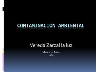 CONTAMINACIÓN AMBIENTAL
Vereda Zarzal la luz
Mauricio Arias
11º4
 