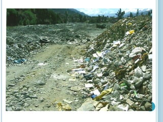 Contaminación ambiental y biodiversidad en la cuenca del rio santa | PDF
