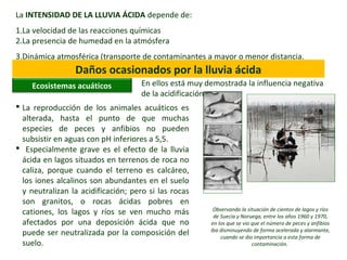 La INTENSIDAD DE LA LLUVIA ÁCIDA depende de:
1.La velocidad de las reacciones químicas
2.La presencia de humedad en la atmósfera
3.Dinámica atmosférica (transporte de contaminantes a mayor o menor distancia.
Daños ocasionados por la lluvia ácida
Ecosistemas acuáticos En ellos está muy demostrada la influencia negativa
de la acidificación.
Observando la situación de cientos de lagos y ríos
de Suecia y Noruega, entre los años 1960 y 1970,
en los que se vio que el número de peces y anfibios
iba disminuyendo de forma acelerada y alarmante,
cuando se dio importancia a esta forma de
contaminación.
 La reproducción de los animales acuáticos es
alterada, hasta el punto de que muchas
especies de peces y anfibios no pueden
subsistir en aguas con pH inferiores a 5,5.
 Especialmente grave es el efecto de la lluvia
ácida en lagos situados en terrenos de roca no
caliza, porque cuando el terreno es calcáreo,
los iones alcalinos son abundantes en el suelo
y neutralizan la acidificación; pero si las rocas
son granitos, o rocas ácidas pobres en
cationes, los lagos y ríos se ven mucho más
afectados por una deposición ácida que no
puede ser neutralizada por la composición del
suelo.
 