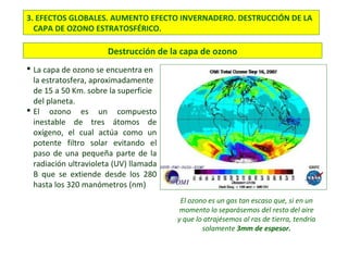 3. EFECTOS GLOBALES. AUMENTO EFECTO INVERNADERO. DESTRUCCIÓN DE LA
CAPA DE OZONO ESTRATOSFÉRICO.
 La capa de ozono se encuentra en
la estratosfera, aproximadamente
de 15 a 50 Km. sobre la superficie
del planeta.
 El ozono es un compuesto
inestable de tres átomos de
oxígeno, el cual actúa como un
potente filtro solar evitando el
paso de una pequeña parte de la
radiación ultravioleta (UV) llamada
B que se extiende desde los 280
hasta los 320 manómetros (nm)
Destrucción de la capa de ozono
El ozono es un gas tan escaso que, si en un
momento lo separásemos del resto del aire
y que lo atrajésemos al ras de tierra, tendría
solamente 3mm de espesor.
 