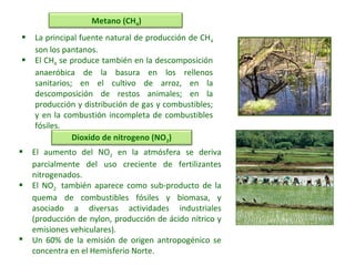  La principal fuente natural de producción de CH4
son los pantanos.
 El CH4 se produce también en la descomposición
anaeróbica de la basura en los rellenos
sanitarios; en el cultivo de arroz, en la
descomposición de restos animales; en la
producción y distribución de gas y combustibles;
y en la combustión incompleta de combustibles
fósiles.
Metano (CH4)
Dioxido de nitrogeno (NO2)
 El aumento del NO2 en la atmósfera se deriva
parcialmente del uso creciente de fertilizantes
nitrogenados.
 El NO2 también aparece como sub-producto de la
quema de combustibles fósiles y biomasa, y
asociado a diversas actividades industriales
(producción de nylon, producción de ácido nítrico y
emisiones vehiculares).
 Un 60% de la emisión de origen antropogénico se
concentra en el Hemisferio Norte.
 
