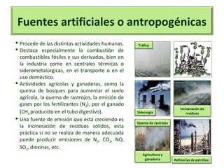 Fuentes artificiales o antropogénicas
 Procede de las distintas actividades humanas.
 Destaca especialmente la combustión de
combustibles fósiles y sus derivados, bien en
la industria como en centrales térmicas o
siderometalúrgicas, en el transporte o en el
uso doméstico.
 Actividades agrícolas y ganaderas, como la
quema de bosques para aumentar el suelo
agrícola, la quema de rastrojos, la emisión de
gases por los fertilizantes (N2), por el ganado
(CH4 producido en el tubo digestivo).
 Una fuente de emisión que está creciendo es
la incineración de residuos sólidos, esta
práctica si no se realiza de manera adecuada
puede producir emisiones de N2, CO2, NO,
SO3, dioxinas, etc.
Tráfico
Siderurgia
Quema de rastrojos
Incineración de
residuos
Agricultura y
ganadería Refinerías de petróleo
 