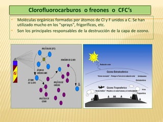  Moléculas orgánicas formadas por átomos de Cl y F unidos a C. Se han
utilizado mucho en los "sprays", frigoríficos, etc.
 Son los principales responsables de la destrucción de la capa de ozono.
 