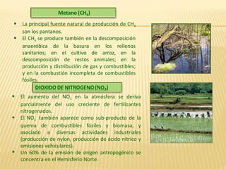  La principal fuente natural de producción de CH4
son los pantanos.
 El CH4 se produce también en la descomposición
anaeróbica de la basura en los rellenos
sanitarios; en el cultivo de arroz, en la
descomposición de restos animales; en la
producción y distribución de gas y combustibles;
y en la combustión incompleta de combustibles
fósiles.
 El aumento del NO2 en la atmósfera se deriva
parcialmente del uso creciente de fertilizantes
nitrogenados.
 El NO2 también aparece como sub-producto de la
quema de combustibles fósiles y biomasa, y
asociado a diversas actividades industriales
(producción de nylon, producción de ácido nítrico y
emisiones vehiculares).
 Un 60% de la emisión de origen antropogénico se
concentra en el Hemisferio Norte.
 