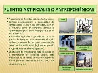  Procede de las distintas actividades humanas.
 Destaca especialmente la combustión de
combustibles fósiles y sus derivados, bien en
la industria como en centrales térmicas o
siderometalúrgicas, en el transporte o en el
uso doméstico.
 Actividades agrícolas y ganaderas, como la
quema de bosques para aumentar el suelo
agrícola, la quema de rastrojos, la emisión de
gases por los fertilizantes (N2), por el ganado
(CH4 producido en el tubo digestivo).
 Una fuente de emisión que está creciendo es
la incineración de residuos sólidos, esta
práctica si no se realiza de manera adecuada
puede producir emisiones de N2, CO2, NO,
SO3, dioxinas, etc.
 