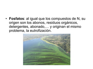 Fosfatos : al igual que los compuestos de N, su origen son los abonos, residuos orgánicos, detergentes, abonado,… y originan el mismo problema, la eutrofización. 