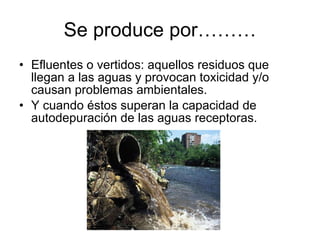 Se produce por……… Efluentes o vertidos: aquellos residuos que llegan a las aguas y provocan toxicidad y/o causan problemas ambientales. Y cuando éstos superan la capacidad de autodepuración de las aguas receptoras. 