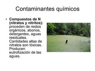 Contaminantes químicos Compuestos de N (nitratos y nitritos):  proceden de restos orgánicos, abonos, detergentes, aguas residuales. Cantidades altas de nitratos son tóxicas. Producen eutrofización de las aguas.  