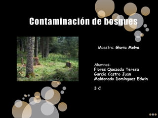 Contaminación de bosques Maestra: Gloria Melva Alumnos:  Flores Quezada Teresa García Castro Juan Maldonado Domínguez Edwin 3 C 