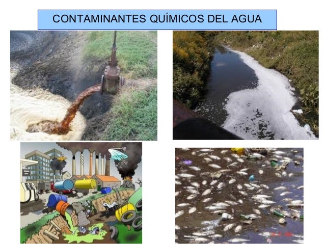 Contaminación del agua