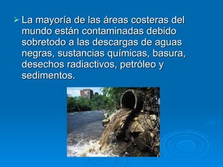 La mayoría de las áreas costeras del mundo están contaminadas debido sobretodo a las descargas de aguas negras, sustancias químicas, basura, desechos radiactivos, petróleo y sedimentos.  