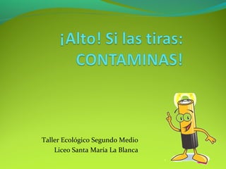 Taller Ecológico Segundo Medio
Liceo Santa María La Blanca
 