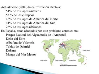 Actualmente (2008) la eutrofización afecta a:
   54% de los lagos asiáticos
   53 % de los europeos
   48% de los lagos de América del Norte
   41% de los lagos de América del Sur
   28% de los lagos africanos
En España, están afectados por este problema zonas como:
   Parque Natural del Aiguamolls de l’Ampordà
   Delta del Ebro
   Albufera de Valencia
   Tablas de Daimiel
   Doñana
   Manga del Mar Menor
 