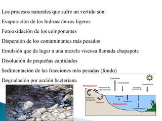 Los procesos naturales que sufre un vertido son:
Evaporación de los hidrocarburos ligeros
Fotooxidación de los componentes
Dispersión de los contaminantes más pesados
Emulsión que da lugar a una mezcla viscosa llamada chapapote
Disolución de pequeñas cantidades
Sedimentación de las fracciones más pesadas (fondo)
Degradación por acción bacteriana
 