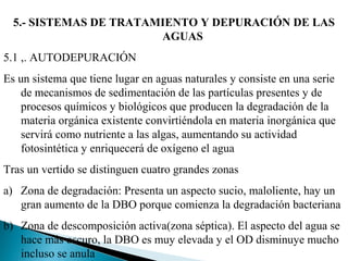 5.- SISTEMAS DE TRATAMIENTO Y DEPURACIÓN DE LAS
                        AGUAS
5.1 ,. AUTODEPURACIÓN
Es un sistema que tiene lugar en aguas naturales y consiste en una serie
    de mecanismos de sedimentación de las partículas presentes y de
    procesos químicos y biológicos que producen la degradación de la
    materia orgánica existente convirtiéndola en materia inorgánica que
    servirá como nutriente a las algas, aumentando su actividad
    fotosintética y enriquecerá de oxígeno el agua
Tras un vertido se distinguen cuatro grandes zonas
a) Zona de degradación: Presenta un aspecto sucio, maloliente, hay un
   gran aumento de la DBO porque comienza la degradación bacteriana
b) Zona de descomposición activa(zona séptica). El aspecto del agua se
   hace más oscuro, la DBO es muy elevada y el OD disminuye mucho
   incluso se anula
 