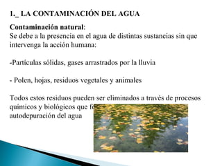 1._ LA CONTAMINACIÓN DEL AGUA
Contaminación natural:
Se debe a la presencia en el agua de distintas sustancias sin que
intervenga la acción humana:

-Partículas sólidas, gases arrastrados por la lluvia

- Polen, hojas, residuos vegetales y animales

Todos estos residuos pueden ser eliminados a través de procesos
químicos y biológicos que forman parte de la capacidad de
autodepuración del agua
 