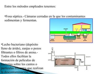 Entre los métodos empleados tenemos:

  •Fosa séptica.- Cámaras cerradas en la que los contaminantes
  sedimentan y fermentan.




•Lecho bacteriano (depósito
lleno de árido), zanjas o pozos
filtrantes o filtros de arena.-
Todos ellos facilitan la
formación de películas de
bacterias sobre los cantos o
partículas filtrantes que realizan
la descontaminación.
 