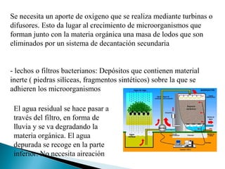 Se necesita un aporte de oxígeno que se realiza mediante turbinas o
difusores. Esto da lugar al crecimiento de microorganismos que
forman junto con la materia orgánica una masa de lodos que son
eliminados por un sistema de decantación secundaria


- lechos o filtros bacterianos: Depósitos que contienen material
inerte ( piedras silíceas, fragmentos sintéticos) sobre la que se
adhieren los microorganismos

 El agua residual se hace pasar a
 través del filtro, en forma de
 lluvia y se va degradando la
 materia orgánica. El agua
 depurada se recoge en la parte
 inferior. No necesita aireación
 