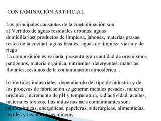 CONTAMINACIÓN ARTIFICIAL

Los principales causantes de la contaminación son:
a) Vertidos de aguas residuales urbanas: aguas
domiciliarias( productos de limpieza, jabones, materias grasas,
restos de la cocina), aguas fecales, aguas de limpieza viaria y de
riego
La composición es variada, presenta gran cantidad de organismos
patógenos, materia orgánica, nutrientes, detergentes, materias
flotantes, residuos de la contaminación atmosférica...

b) Vertidos industriales: dependiendo del tipo de industria y de
los procesos de fabricación se generan metales pesados, materia
orgánica, incremento de pH y temperatura, radiactividad, aceites,
materiales tóxicos. Las industrias más contaminantes son:
petroquímicas, energéticas, papeleras, siderúrgicas, alimenticias,
textiles y las industrias mineras
 
