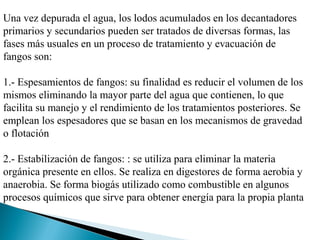 Una vez depurada el agua, los lodos acumulados en los decantadores
primarios y secundarios pueden ser tratados de diversas formas, las
fases más usuales en un proceso de tratamiento y evacuación de
fangos son:

1.- Espesamientos de fangos: su finalidad es reducir el volumen de los
mismos eliminando la mayor parte del agua que contienen, lo que
facilita su manejo y el rendimiento de los tratamientos posteriores. Se
emplean los espesadores que se basan en los mecanismos de gravedad
o flotación

2.- Estabilización de fangos: : se utiliza para eliminar la materia
orgánica presente en ellos. Se realiza en digestores de forma aerobia y
anaerobia. Se forma biogás utilizado como combustible en algunos
procesos químicos que sirve para obtener energía para la propia planta
 