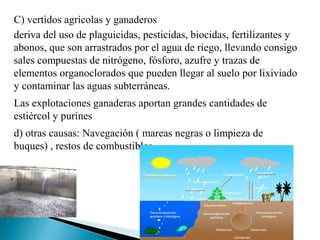 C) vertidos agrícolas y ganaderos
deriva del uso de plaguicidas, pesticidas, biocidas, fertilizantes y
abonos, que son arrastrados por el agua de riego, llevando consigo
sales compuestas de nitrógeno, fósforo, azufre y trazas de
elementos organoclorados que pueden llegar al suelo por lixiviado
y contaminar las aguas subterráneas.
Las explotaciones ganaderas aportan grandes cantidades de
estiércol y purines
d) otras causas: Navegación ( mareas negras o limpieza de
buques) , restos de combustibles...
 