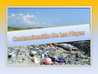 Contaminación de las playas
