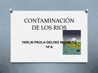 CONTAMINACIÓN
DE LOS RIOS
YARLIN PAOLA GELVEZ MARQUEZ
10°A

 